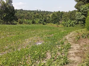 Shamba for Sale in Handeni Mkata