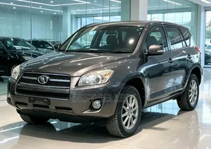 Toyota RAV4 2010 Gray