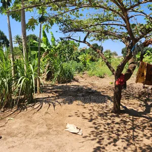 Kiwanja Kinauzwa Dege