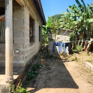 Kiwanja Kinauzwa Dege