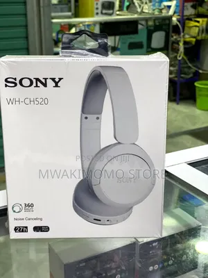Sonny Wh-Ch520 Headphones