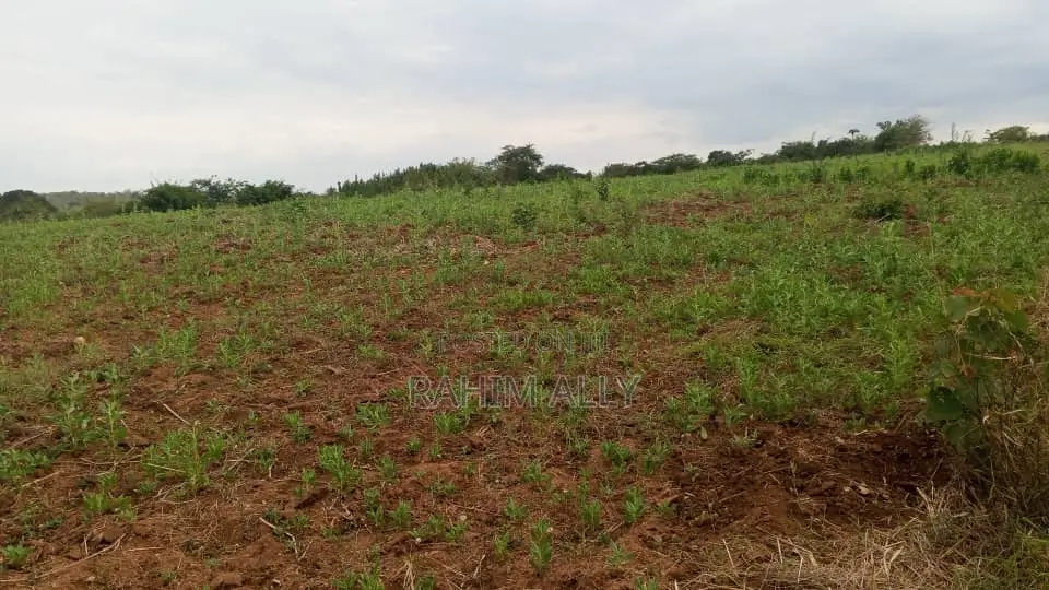 Shamba Linauzwa Mbwewe Hekari 30
