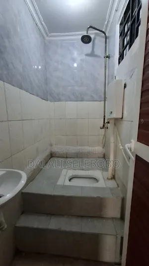 1bdrm House in Sinza Palestina for rent