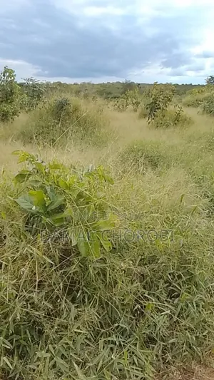 Jipatie Viwanja Hivi Bora Kwa Makazi Bagamoyo