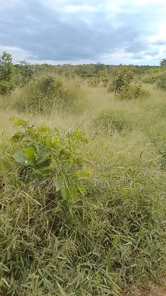 Jipatie Viwanja Hivi Bora Kwa Makazi Bagamoyo