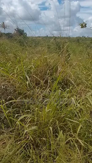 Jipatie Viwanja Hivi Bora Kwa Makazi Bagamoyo