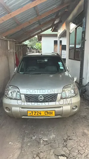 Nissan X-Trail 2010 Beige