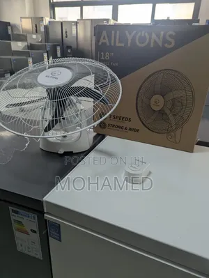  Orbit Fan (Fan Ya Juu) 
 Size: 18”