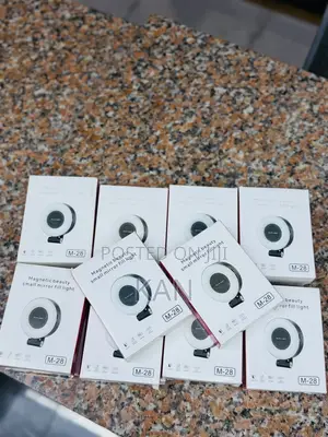 Magnetic Fill Light