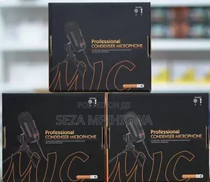 *Podcast Mic