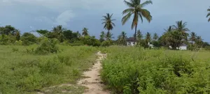 Kiwanja Mbutu Kigamboni Karibu Na Beach Na Hoteli Za Kitalii