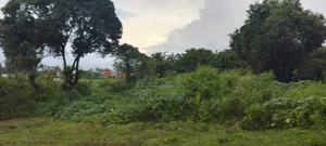 Kiwanja Karibu Ya Beach Gezaurole Kigamboni.