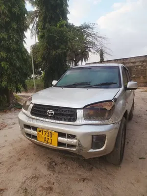 Toyota RAV4 2004 Silver