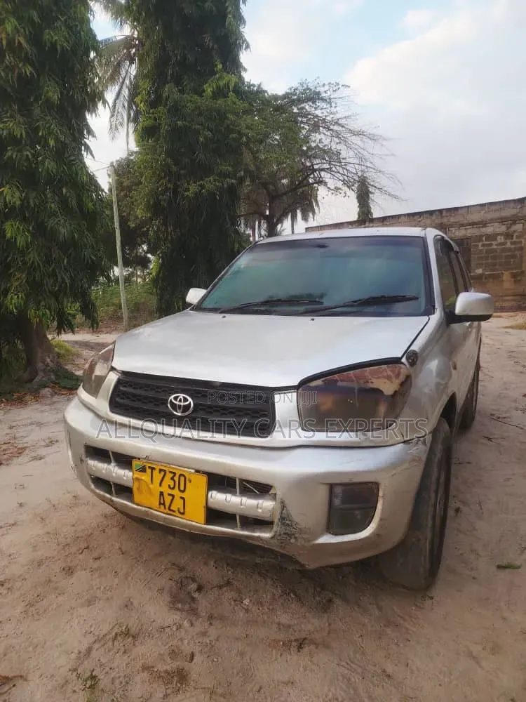 Toyota RAV4 2004 Silver
