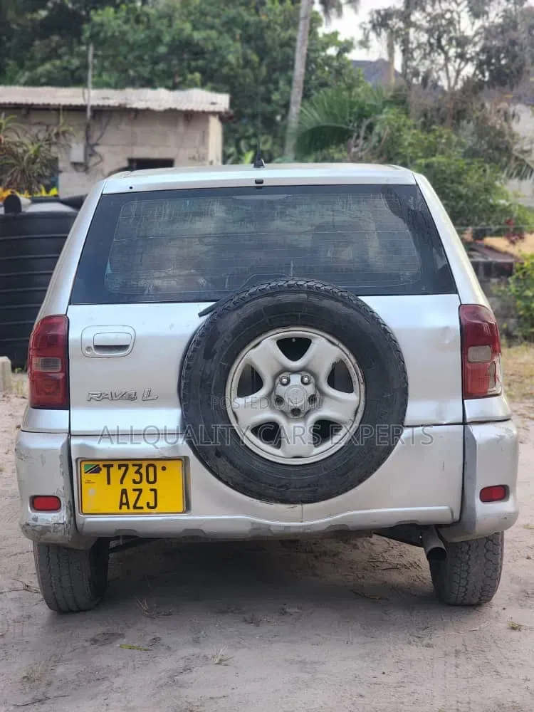 Toyota RAV4 2004 Silver