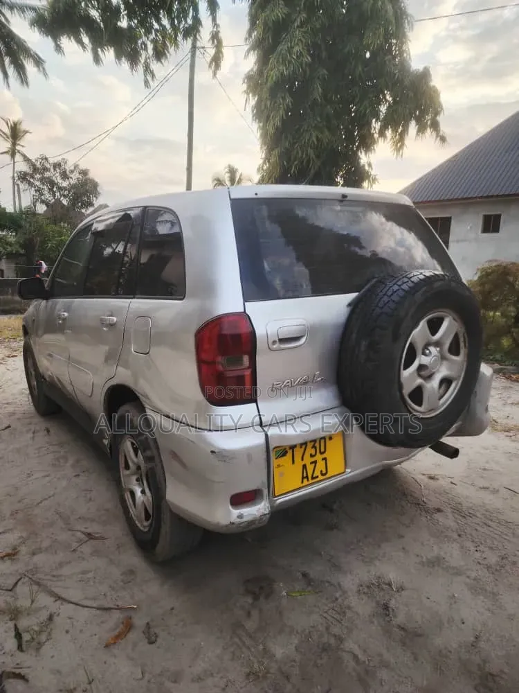 Toyota RAV4 2004 Silver