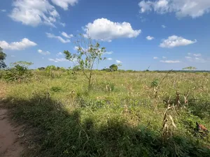 Exceptional Opportunity 140 Acres Industrial Plot in Mkuranga*
