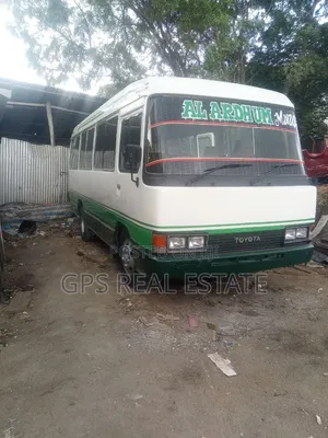 Toyota Coaster 2002 White