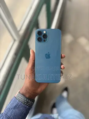 Apple iPhone 12 Pro Max 256 GB Blue
