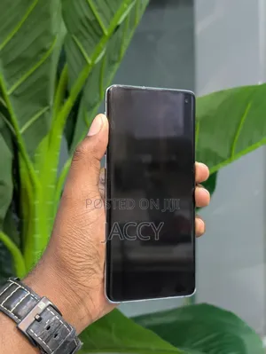 Samsung Galaxy S10 128 GB Blue