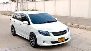 Toyota Corolla Fielder 2010 White