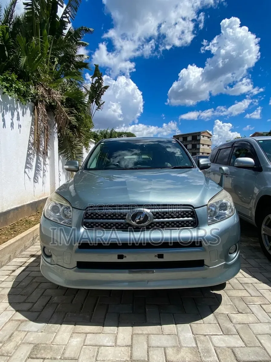 Toyota RAV4 2009 Gray