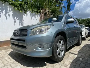 Toyota RAV4 2009 Gray