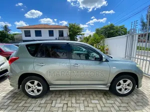 Toyota RAV4 2009 Gray