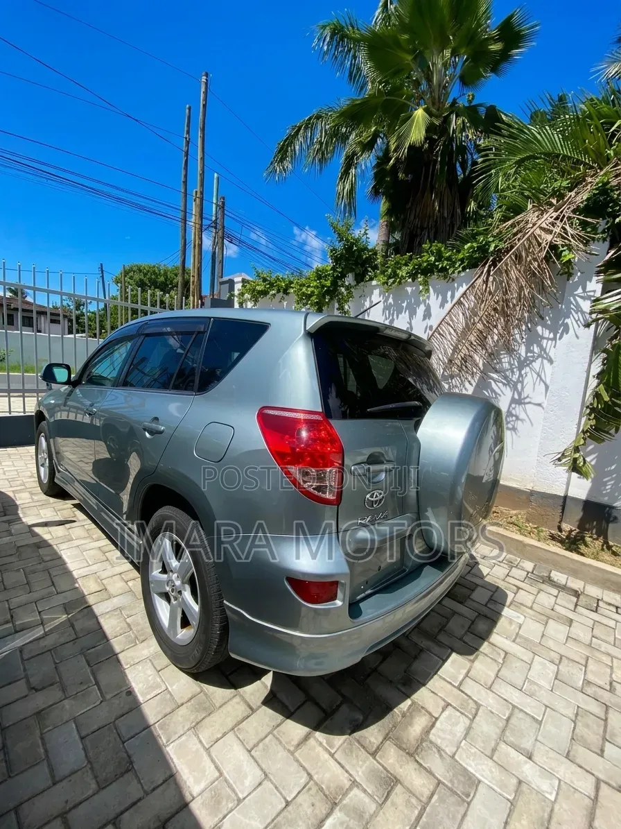 Toyota RAV4 2009 Gray