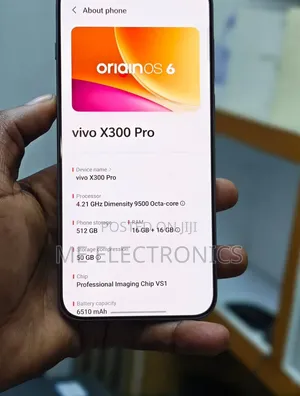 Vivo X300 Pro 256 GB Bronze