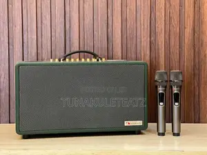 Nakamichi Echo 802 Portable Karaoke Speaker