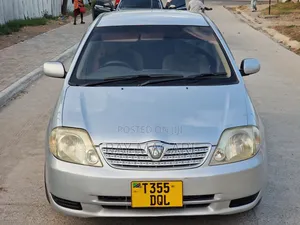 Toyota Allex 2002 Silver