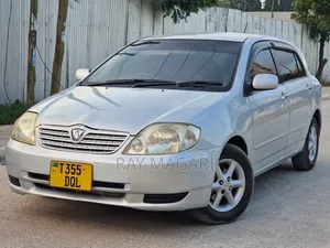 Toyota Allex 2002 Silver