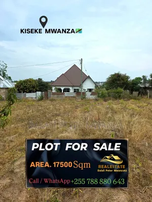 Dalali Peter Mwanza