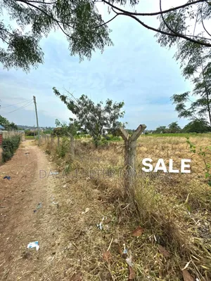Dalali Peter Mwanza
