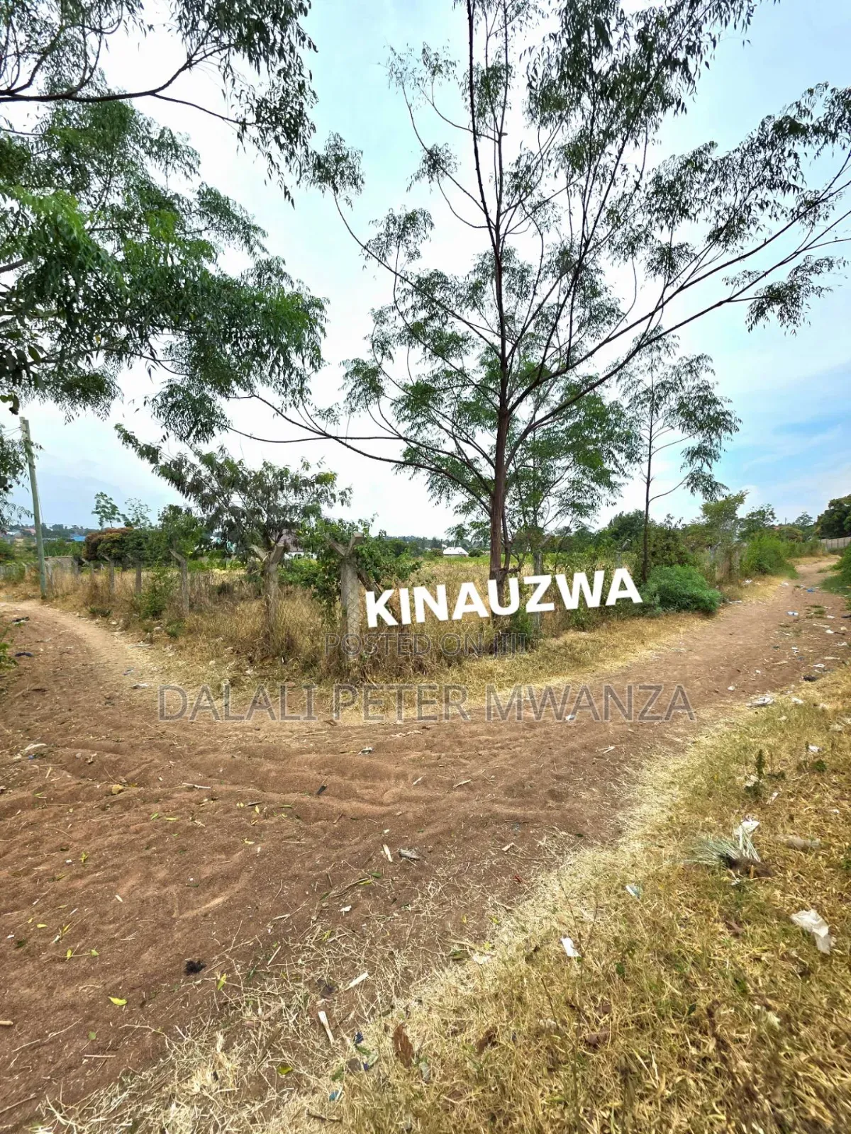 Dalali Peter Mwanza