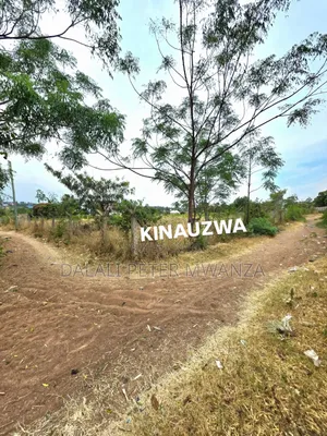 Dalali Peter Mwanza