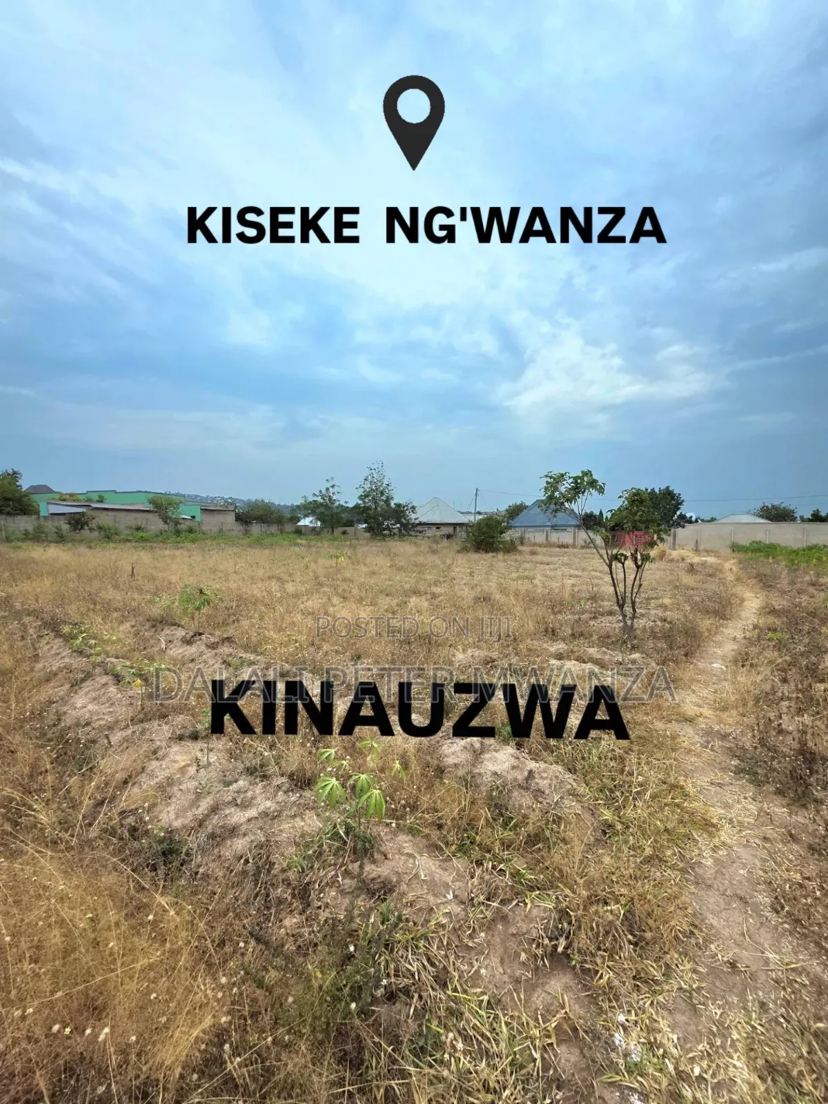 Dalali Peter Mwanza