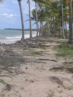 Beach Plort Inauzwa Tanga