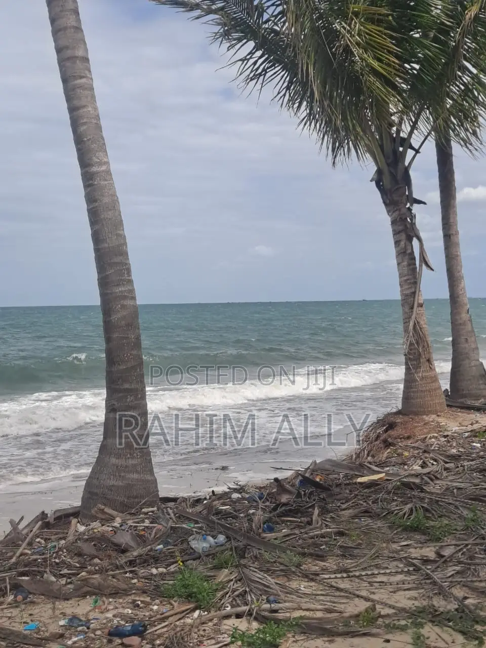 Beach Plort Inauzwa Tanga