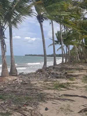 Beach Plort Inauzwa Tanga