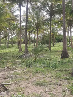 Beach Plort Inauzwa Tanga