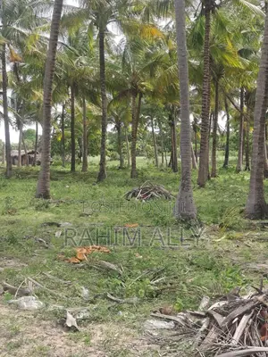 Beach Plort Inauzwa Tanga