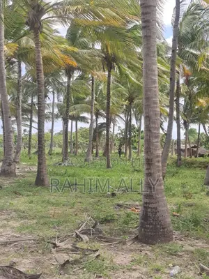 Beach Plort Inauzwa Tanga