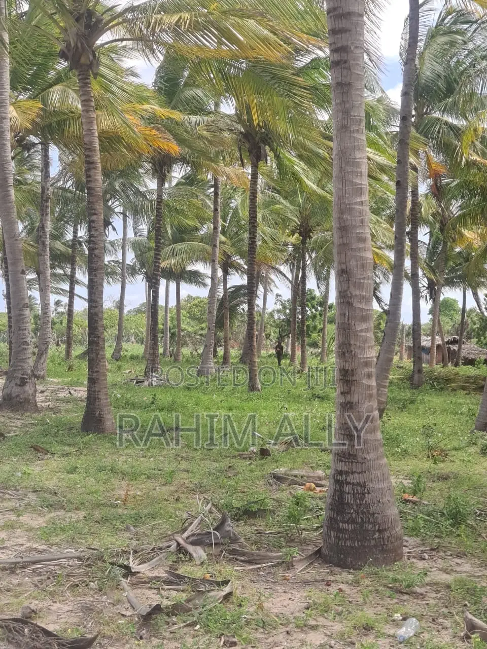 Beach Plort Inauzwa Tanga