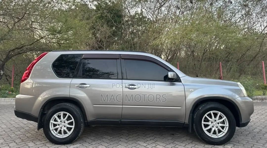 Nissan X-Trail 2010 Gray