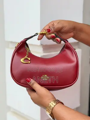 Coach Min Bags