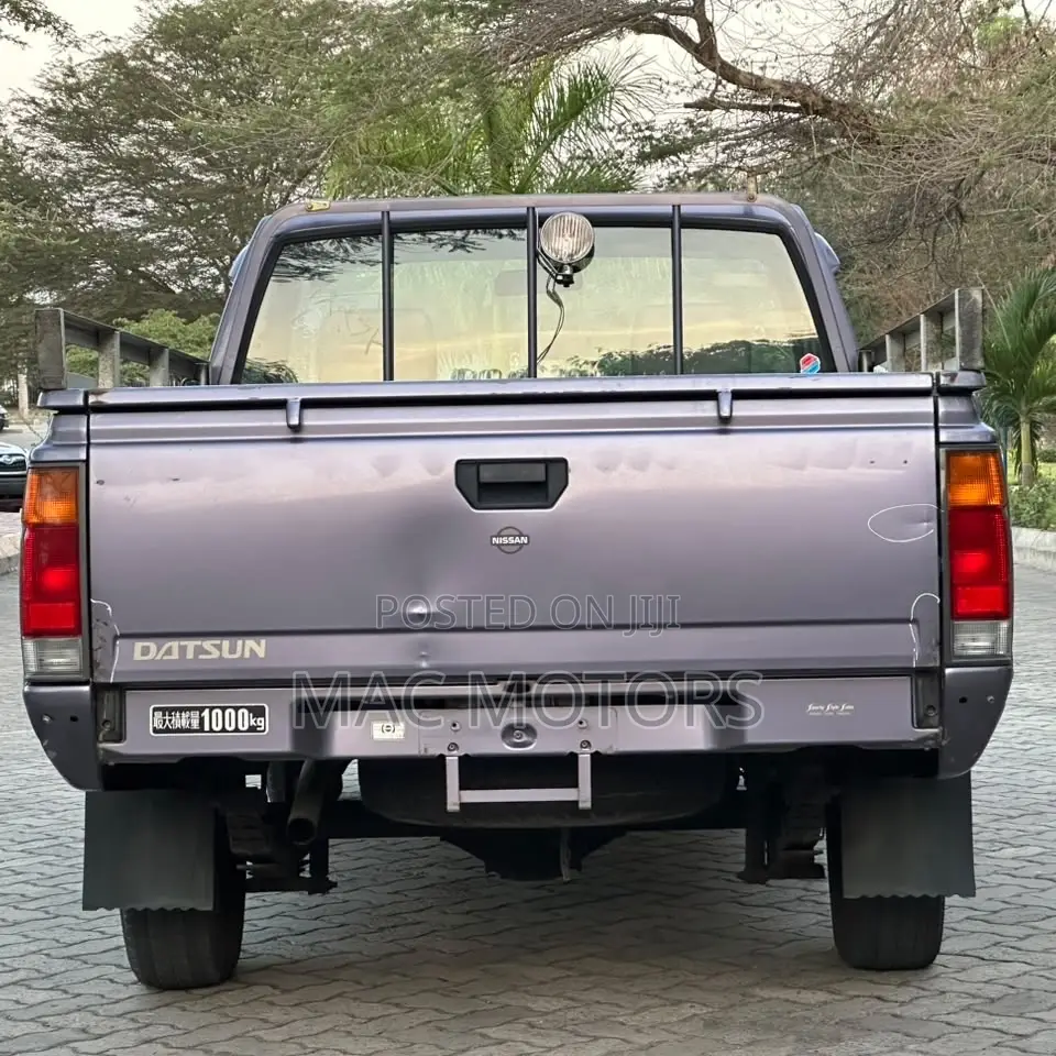 Nissan Pick-Up 2001 Gray