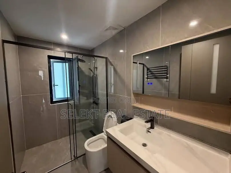 Furnished 3bdrm Apartment in Masaki for rent