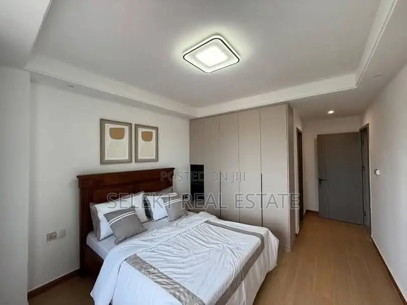 Furnished 3bdrm Apartment in Masaki for rent